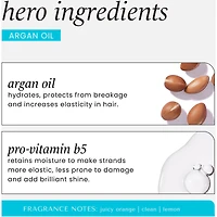Argan Oil Shampooing Réparateur