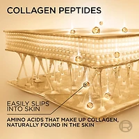 L'Oréal Paris Age Perfect Collagen Expert Hydratant de Nuit Raffermissant avec Peptides Collagène et Niacinamide, Réhydrate, Raffermit Illumine la Peau
