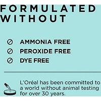 Magic Root Rescue Permanent Touch Up