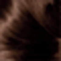 Excellence Crème Hair Dye