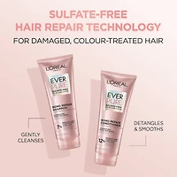 Repairing Shampoo, EverPure Bonding, Sulfate-Free