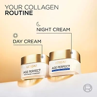 L'Oréal Paris Age Perfect Collagen Expert Hydratant de Nuit Raffermissant avec Peptides Collagène et Niacinamide, Réhydrate, Raffermit Illumine la Peau