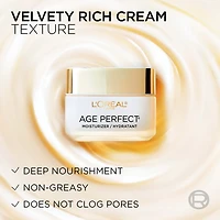 L'Oréal Paris Age Perfect Collagen Expert Hydratant de Nuit Raffermissant avec Peptides Collagène et Niacinamide, Réhydrate, Raffermit Illumine la Peau