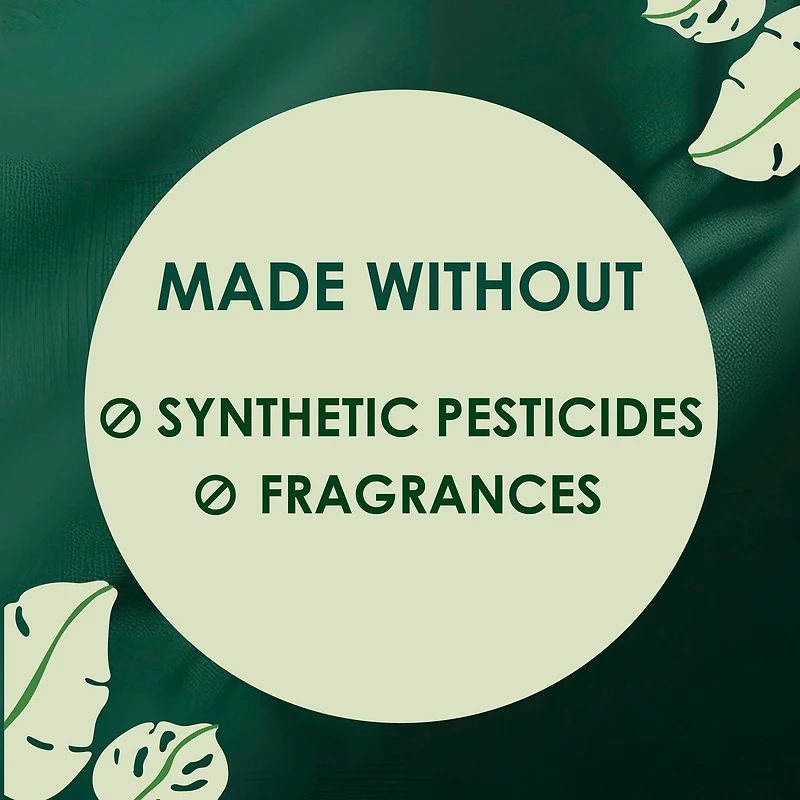 Ultra Thin Liners for Women, Regular Coverage, Cotton Top Layer, Unscented Pantiliners