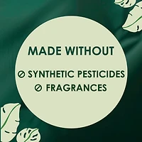 Ultra Thin Liners for Women, Regular Coverage, Cotton Top Layer, Unscented Pantiliners