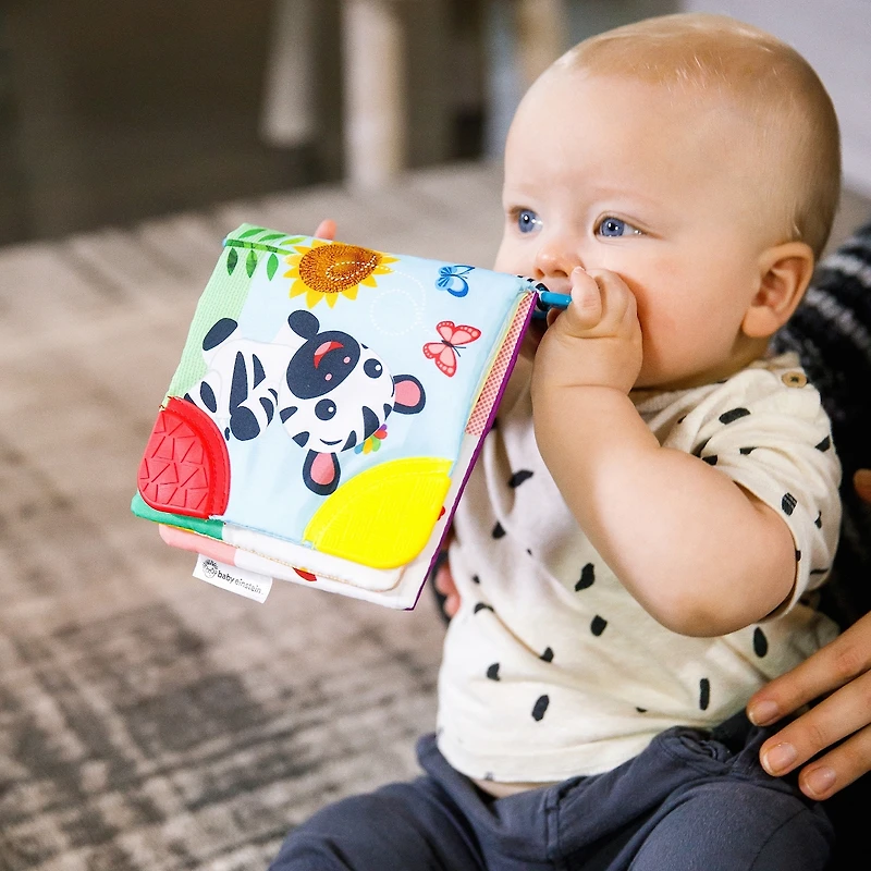 Curious Explorers Teether Book™