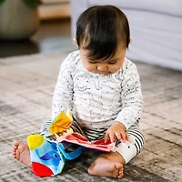 Curious Explorers Teether Book™