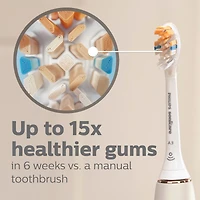 Tétes de brosse de rechange Philips Sonicare All-in-One blanche