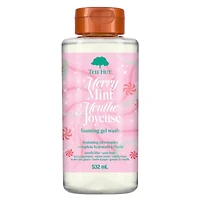 Merry Mint Foaming Gel Wash
