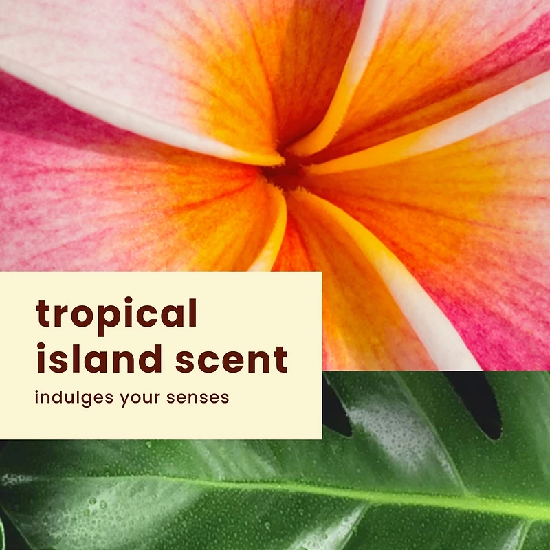 Écran solaire Island SportMD résistant à la transpiration en vaporisateur de Hawaiian TropicMD, FPS 50