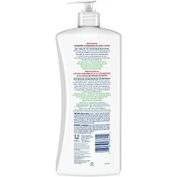 Cranberry Seed + Grape Seed Oil Body Lotion