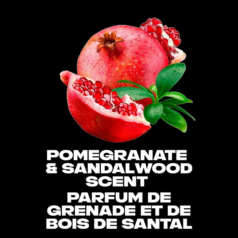 AXE  Deodorant Body Spray  Anarchy  113 g