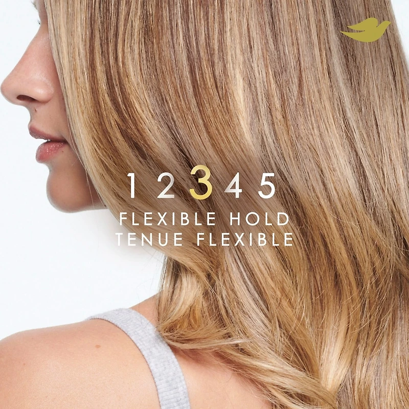 Dove Style + Care Mousse Amplifier 198 GR