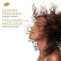 Shampooing à sec pour un soin entre les lavages Dove Revigorant formule légère 142 g