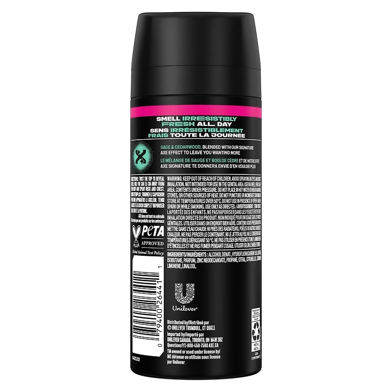 AXE  Deodorant Body Spray  Apollo  113 g