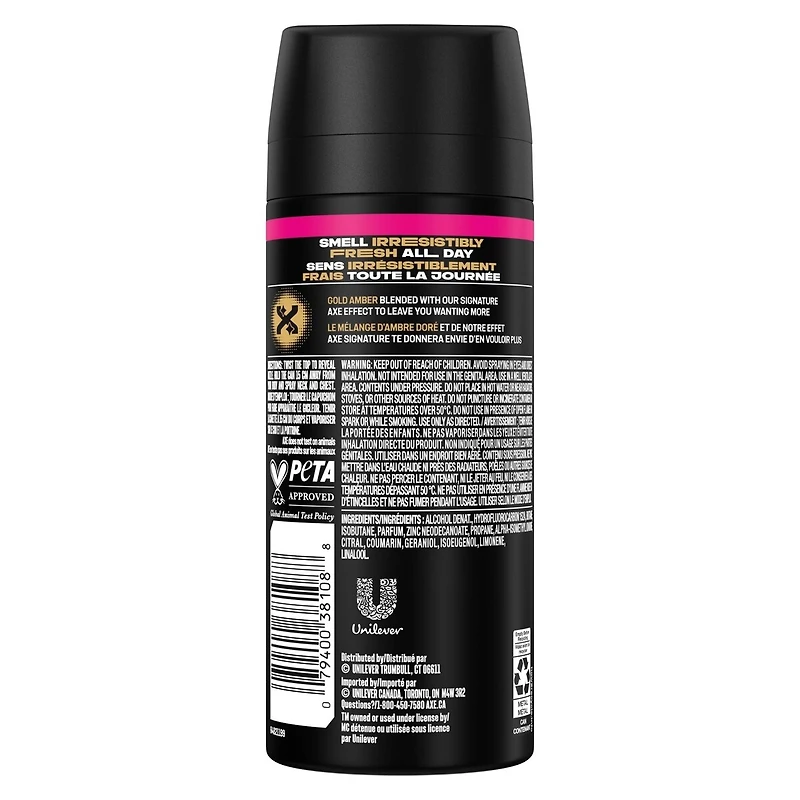 AXE Deodorant Body Spray Gold Temptation 113 g