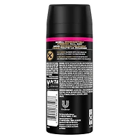 AXE  Deodorant Body Spray  Gold Temptation  113 g