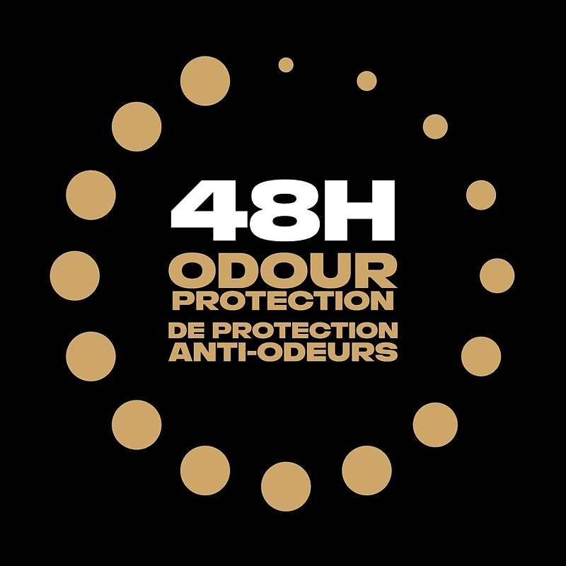 AXE Deodorant Body Spray Gold Temptation 113 g