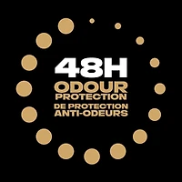 AXE  Deodorant Body Spray  Gold Temptation  113 g