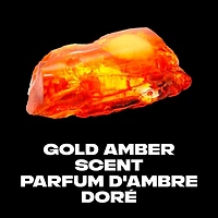 AXE  Deodorant Body Spray  Gold Temptation  113 g