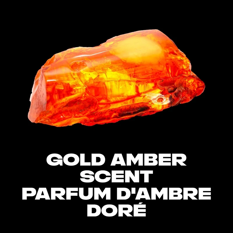 AXE  Deodorant Body Spray  Gold Temptation  113 g