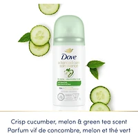 Vaporisateur sec Antisudorifique Dove Essentiels fraîcheur protection antibactérienne contre les odeurs 28 GR