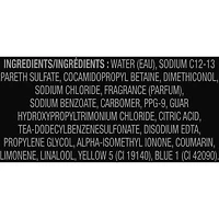 Shampooing/Revitalisant Black 473 ML