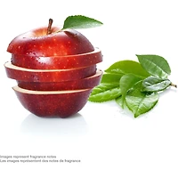 Antisudorifique en bâton Dove au parfum de pomme et thé blanc protection antibactérienne contre les odeurs 74 g