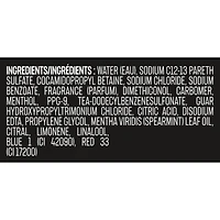 2-in-1 Shampoo and Conditioner for Clean & Strong Hair Ice Chill Iced Mint & Lemon Men's Shampoo & Conditioner in a 100% Recycled Bottle