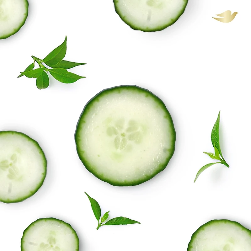 Dove 0% Aluminum Deodorant for smooth underarms Cucumber & Green Tea antibacterial odour protection 74 g