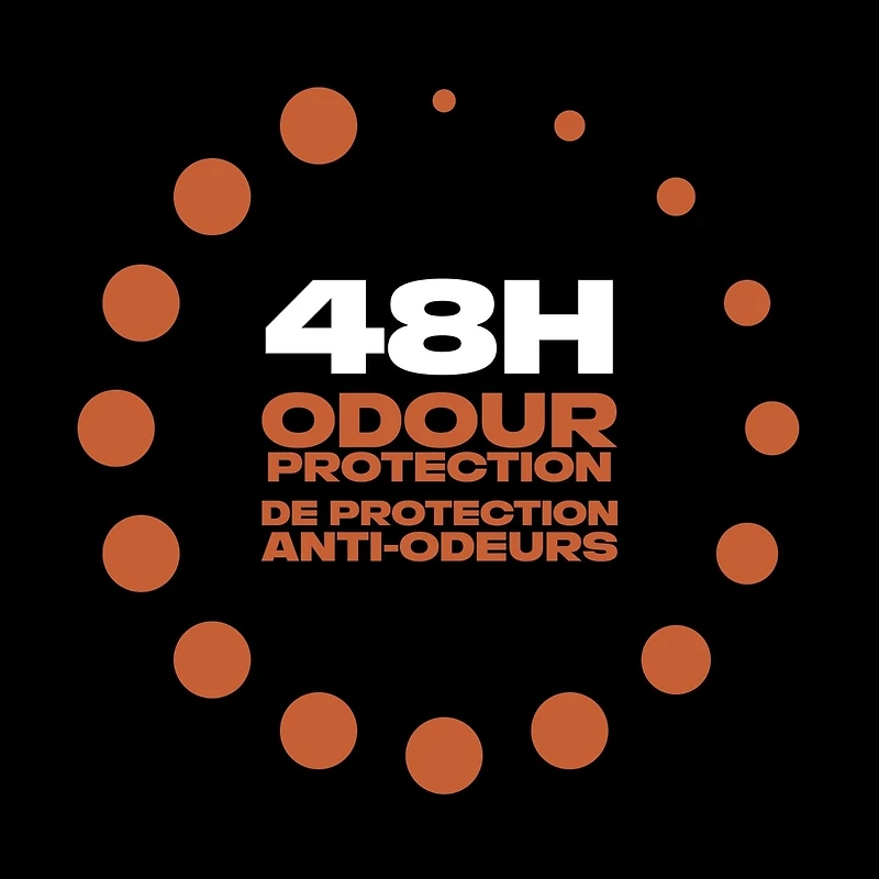 Désodorisant en vaporisateur pour hommes AXE  Sneakers and Cookies protection antibactérienne contre les odeurs 113 g