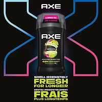 Désodorisant en Bâton pour une protection longue durée contre les odeurs AXE Infinite Pamplemousse et Patchouli formulé sans aluminium