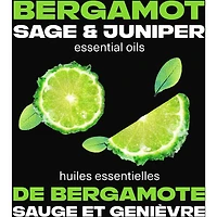 Fine Fragrance Collection Premium Body Spray for Men Aqua Bergamot deodorant with 72H odour protection and freshness infused with juniper, bergamot, and sage essential oils