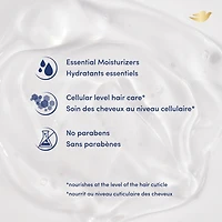 Revitalisant pour démêler et lisser les pointes fourchues Dove Hair Therapy Lasting Length revitalisant fortifiant pour cheveux endommagés avec protéine de riz