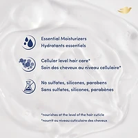 Shampooing pour cheveux ondulés Dove Hair Therapy Endless Waves shampooing hydratant avec beurre de karité brut pour jusqu'à72 h de définition