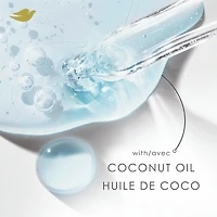 Revitalisant pour Cheveux Abîmés, Dove Huile de Coco & Restauration  avec Soin Bio-Protéine Liquide, 355 ML