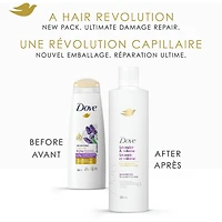 Shampooing pour Cheveux Fins et Plats, Dove Lavande & Volume  avec Soin Bio-Protéine Liquide, 355 ML