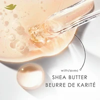 Shampooing pour cheveux frisés Dove Anti-Frisottis et Lissage  avec Soin Bio-Protéine Liquide et Beurre de Karité, 355 ML