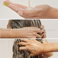 Dove  Conditioner for Curly, Coily Hair Amino Curl with Bio-Protein Care Technology +  Jojoba Oil 530mL