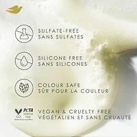 Dove  Shampoo for Curly, Coily Hair Amino Curl with Bio-Protein Care Technology +  Jojoba Oil 530mL