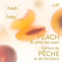 Dove Whole Body Deodorant Deodorant Spray Cooling Spray Peach & White Tea Aluminum Free 113 g