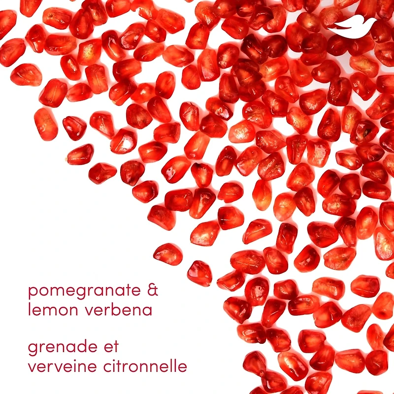 Désodorisant en vaporisateur Grenade + verveine citronnée Sans Aluminum 74g