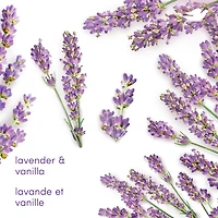 Désodorisant en vaporisateur  Lavande + vanille Sans Aluminum 74g