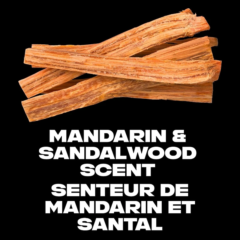 AXE Deodorant Body Spray Kilo 113 g