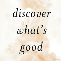 Nutrient Blends Bamboo Hair Volume Multiplier Silicone Free Shampoo for Fine, Thin Hair, 285 mL