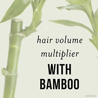 Nutrient Blends Bamboo Hair Volume Multiplier Silicone Free Shampoo for Fine, Thin Hair, 285 mL