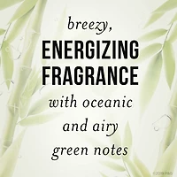 Nutrient Blends Bamboo Hair Volume Multiplier Silicone Free Shampoo for Fine, Thin Hair, 285 mL