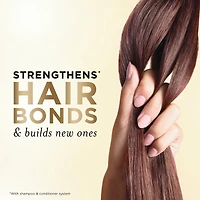 Shampooing Pur volume 72H de densité