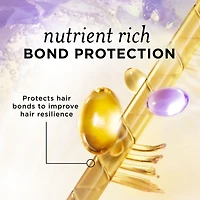 Sulfate Free Conditioner, Illuminating Hair Color with Biotin, Safe for Color Treated Hair, Nutrient Blends