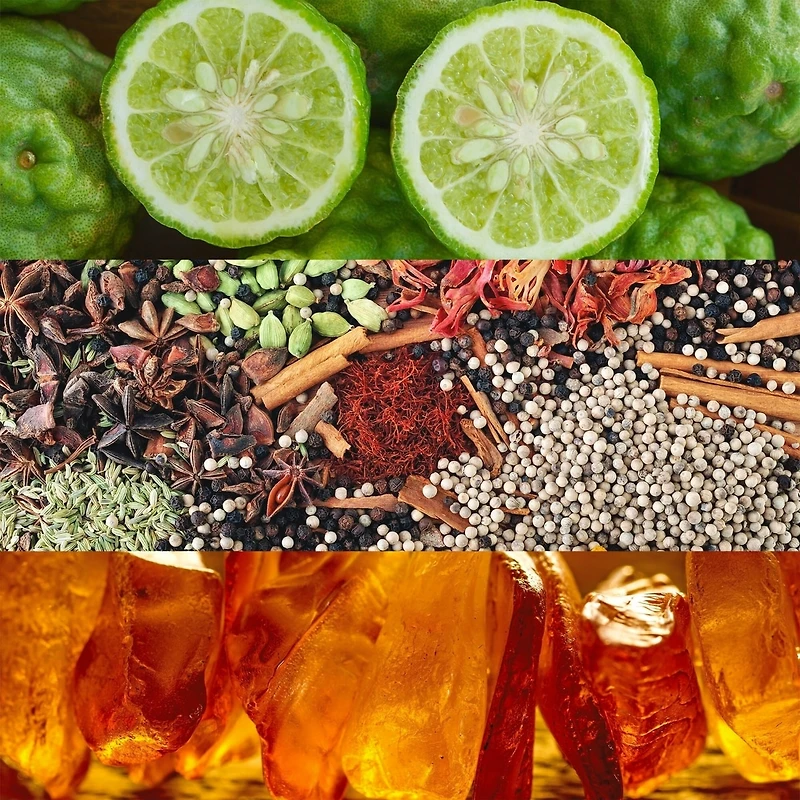 Obsession Eau de Parfum pour femme